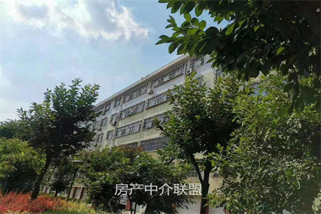 居家自住必看好房！城北善国盛景·怡园3室2厅1卫随时看房